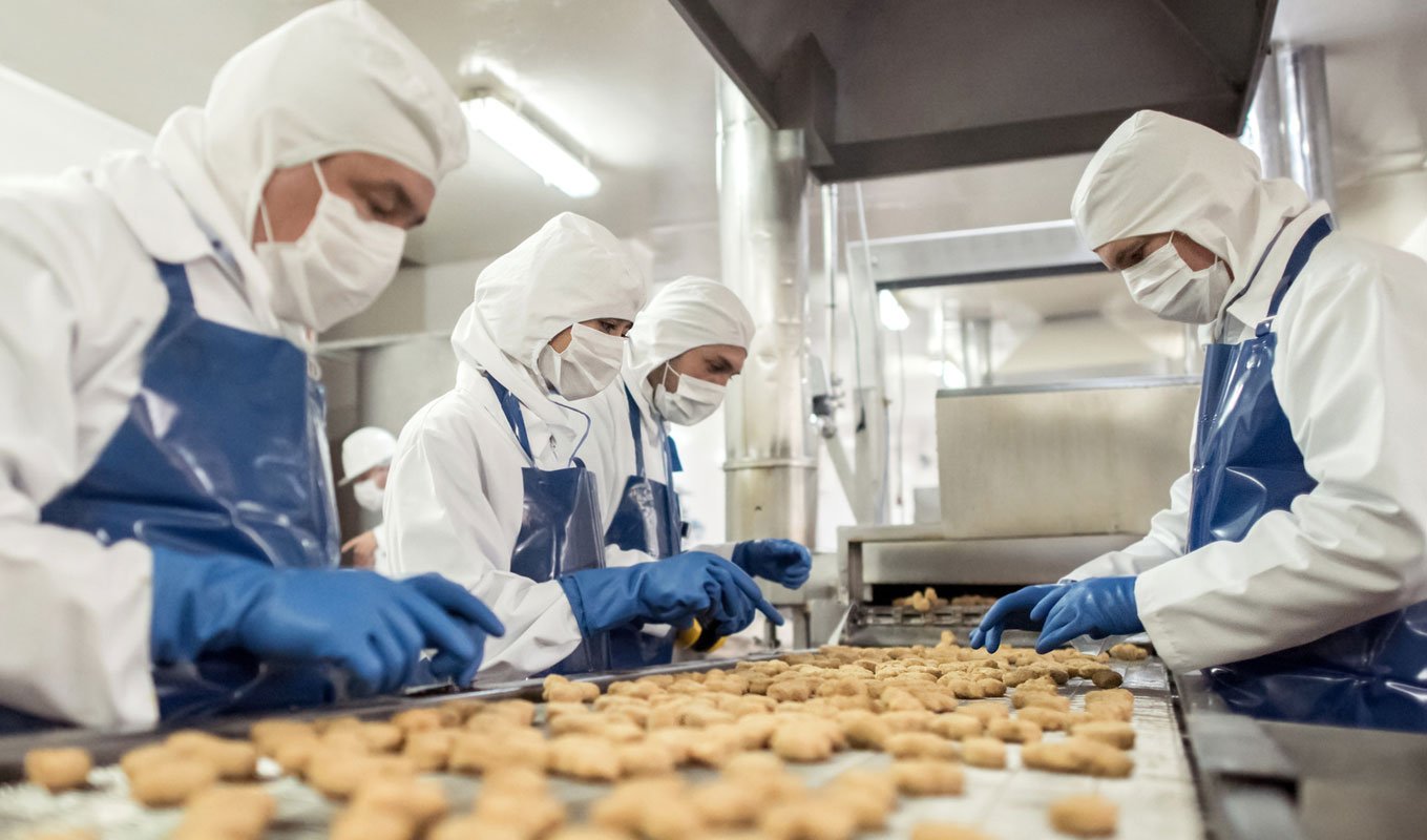 banner-background-food-plant