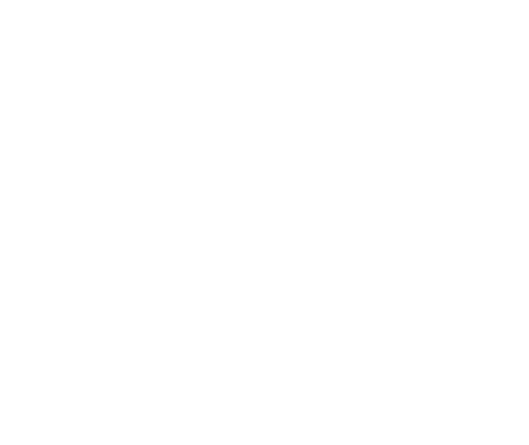 The elephant in the room