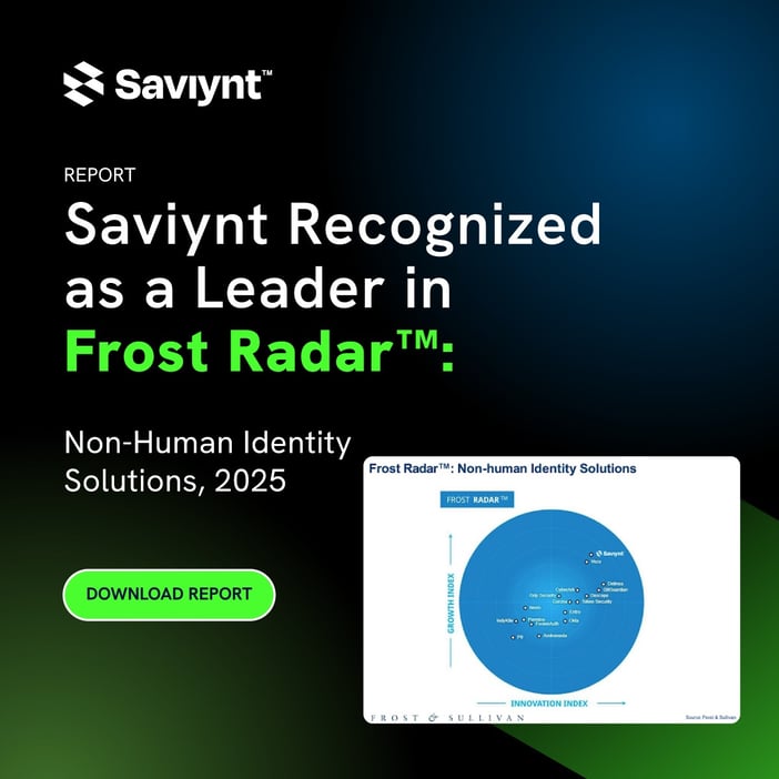 Saviynt Named a Leader