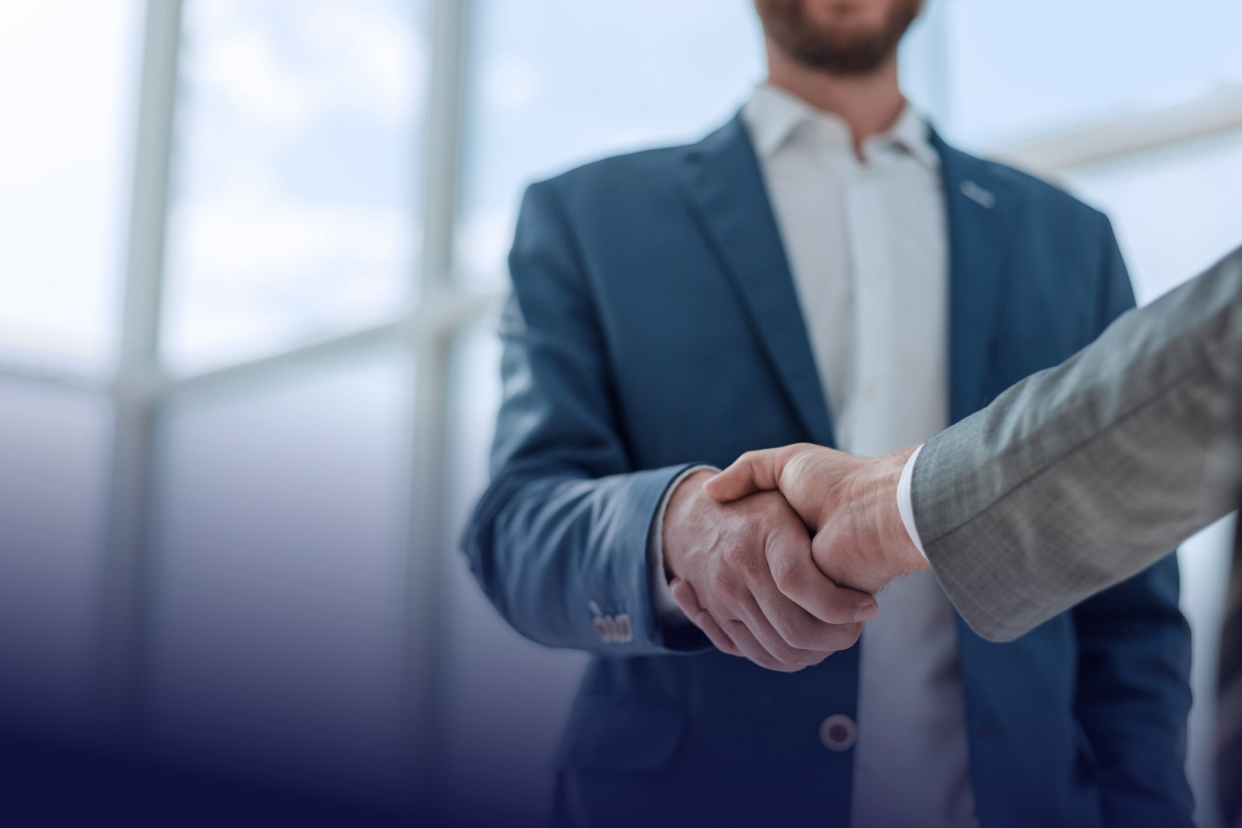 Professional shaking hands