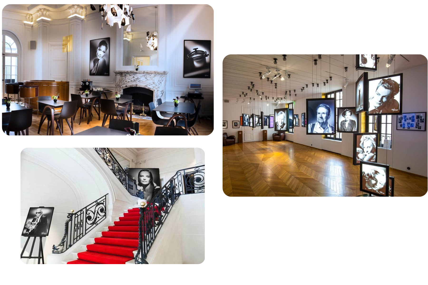 Copy of Untitled Design (12)