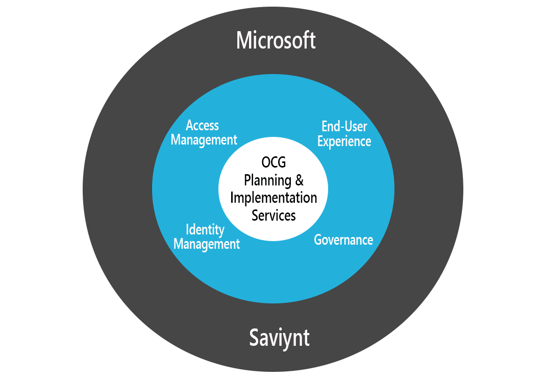 Microsoft-Saviynt-ICAM-visualization-chart-copy