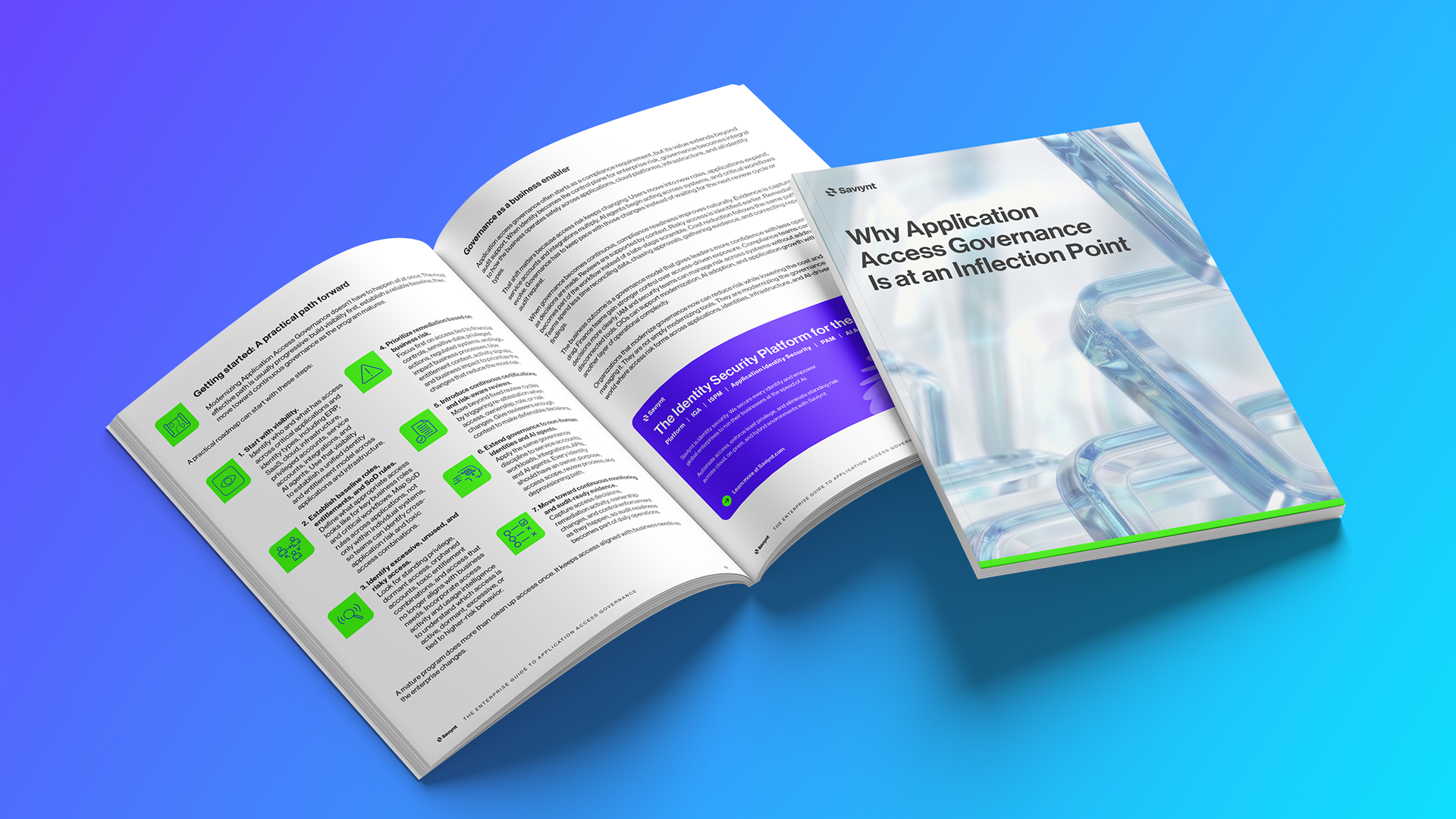 Why Application Access Governance Is at an Inflection Point
